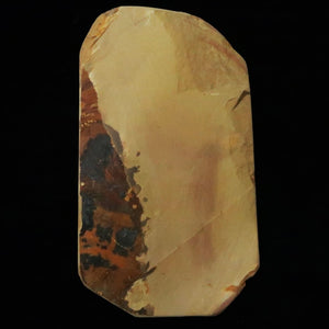 Piedra de afilar natural Nakayama Aoto, tipo koppa, 98×174×16 mm