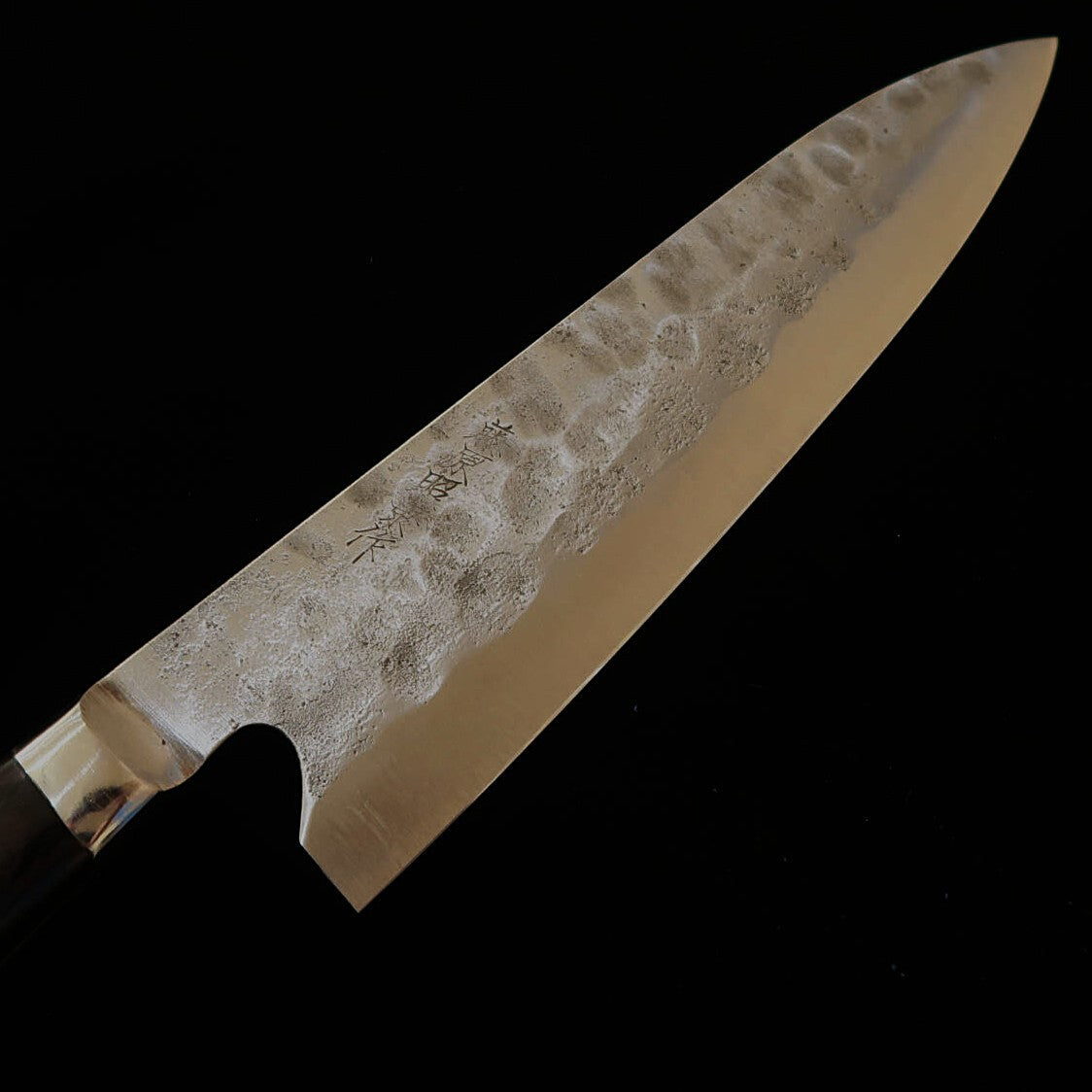 TERUYASU FUJIWARA La legendaria espada Gyuto con protector de dedo acero blanco nº1 (195mm)