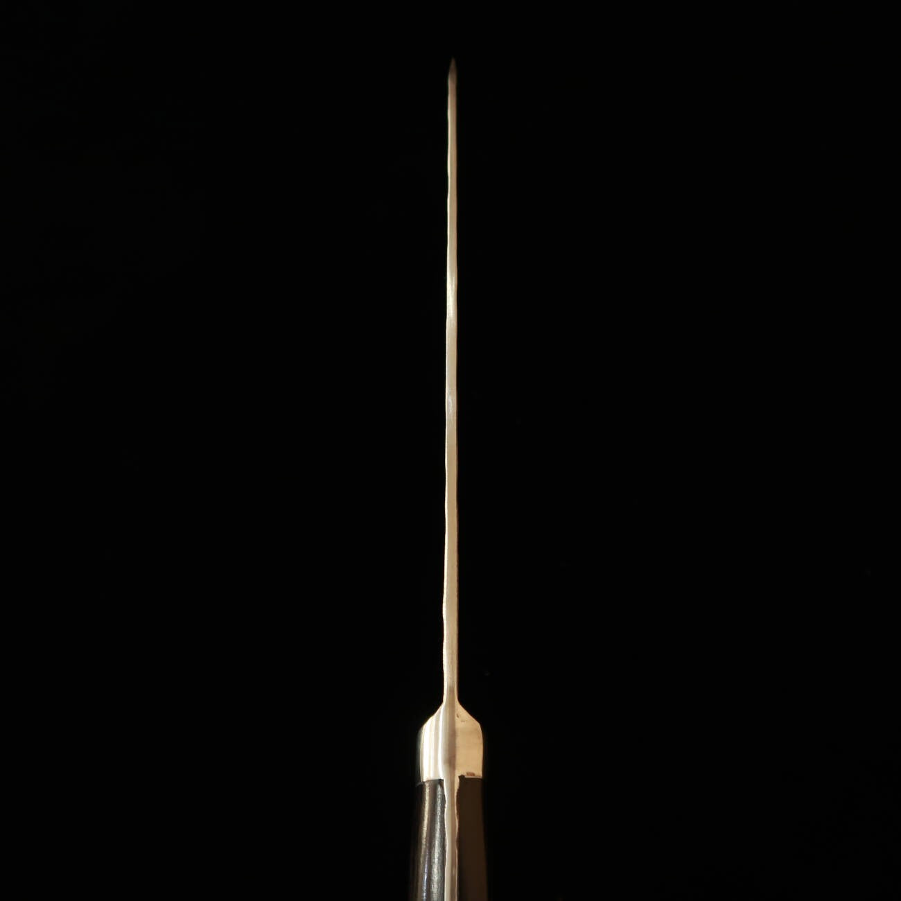 TERUYASU FUJIWARA La legendaria espada Gyuto con protector de dedo acero blanco nº1 (195mm)