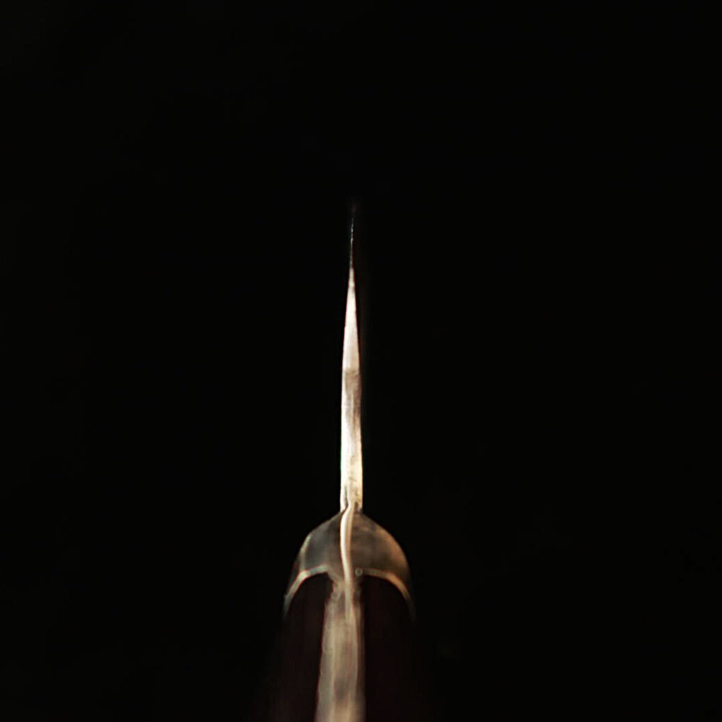 TERUYASU FUJIWARA La legendaria espada Gyuto con protector de dedo acero blanco nº1 (195mm)