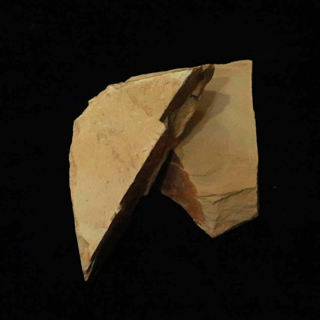 中山名倉　畑中時代　袋入り（極小-特大）