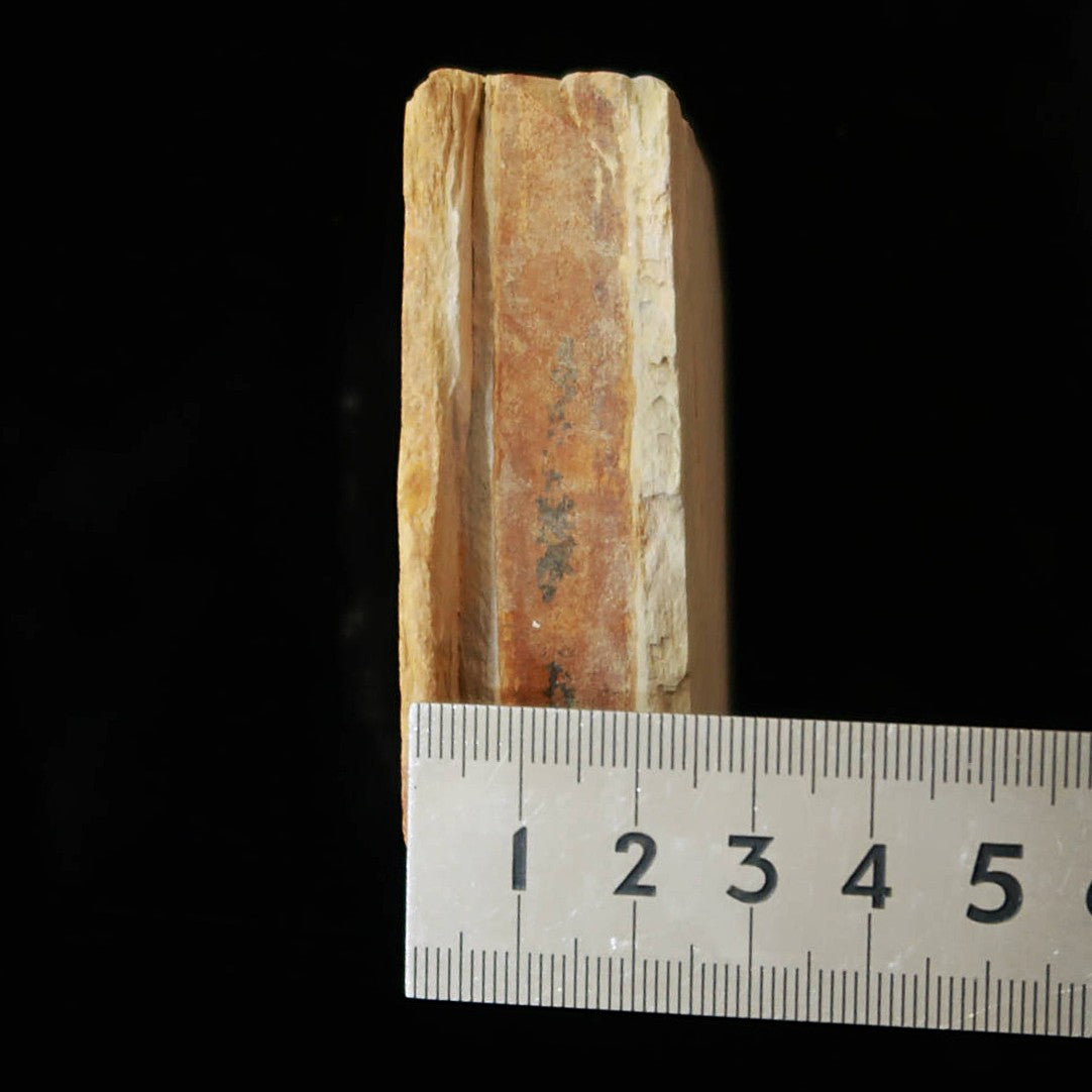 天然砥石　大突　巣板　コッパ　64×71×24mm