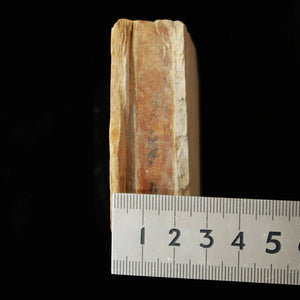 Pierre à aiguiser naturelle Ōtsuki, Suita, morceau « koppa » 64 × 71 × 24 mm
