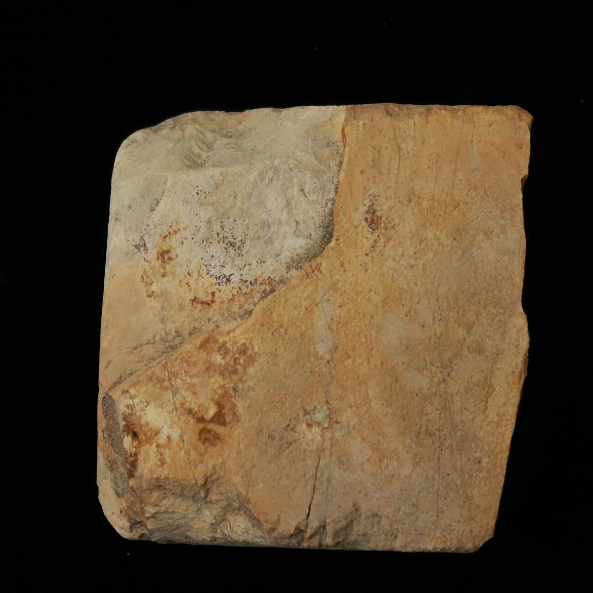 Pierre à aiguiser naturelle Ōtsuki, Suita, morceau « koppa » 64 × 71 × 24 mm
