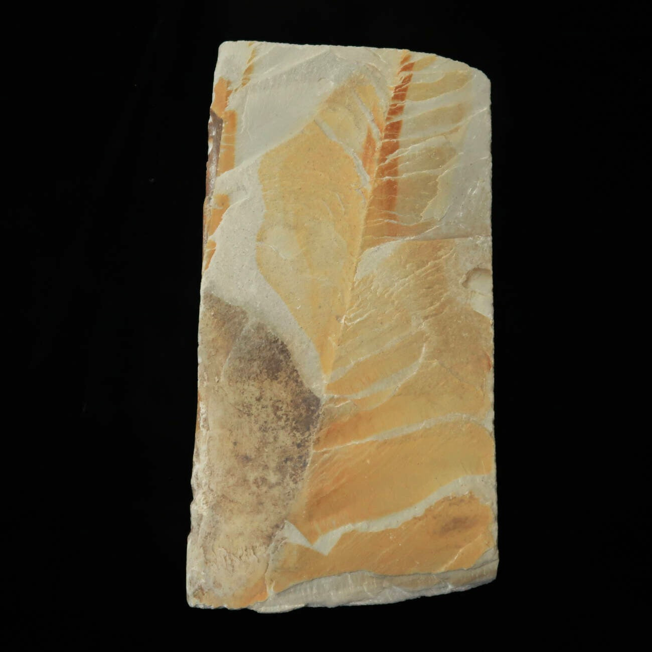 天然砥石 中山 薄型　75×150×7mm