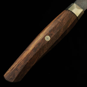 [Nuevo estándar] ZANMAI Revolution Edición limitada 2025 Gyuto mango de ironwood (210 mm)