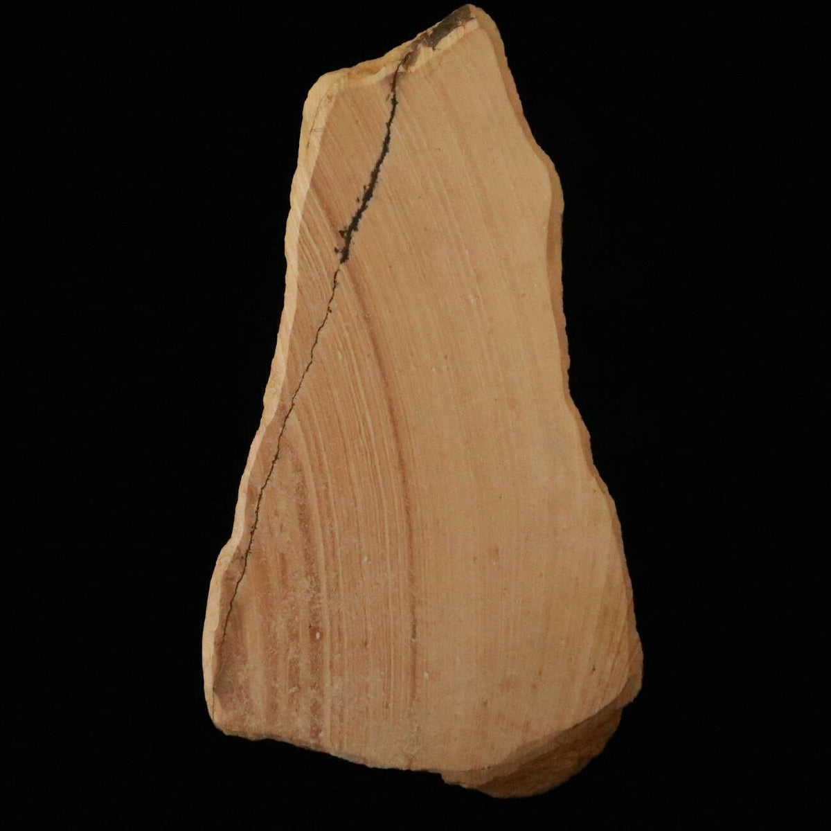 « Miotsukushihime » pierre naturelle, Iyo Meito T50, veinage rouge, 112×207×20 mm