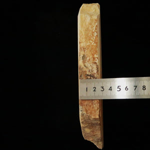 Miotsukushihime Pedra de amolar natural Iyo Meito M27, padrão amadeirado, 63×212×31 mm