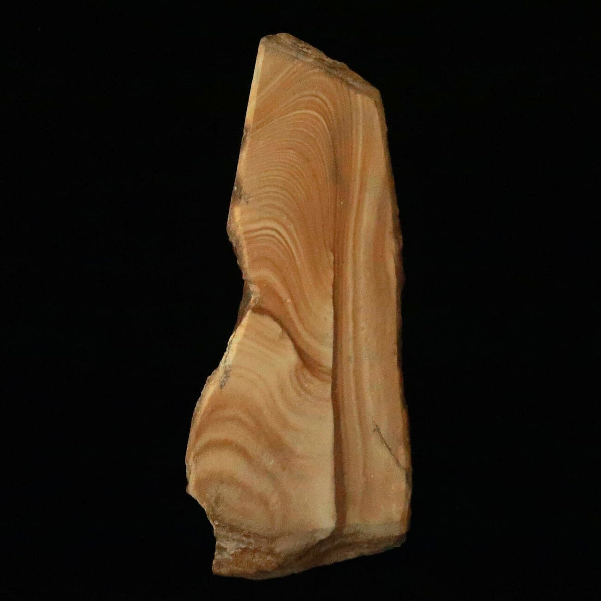 Miotsukushihime Pedra de amolar natural Iyo Meito M32 Veios de madeira 84×216×30 mm