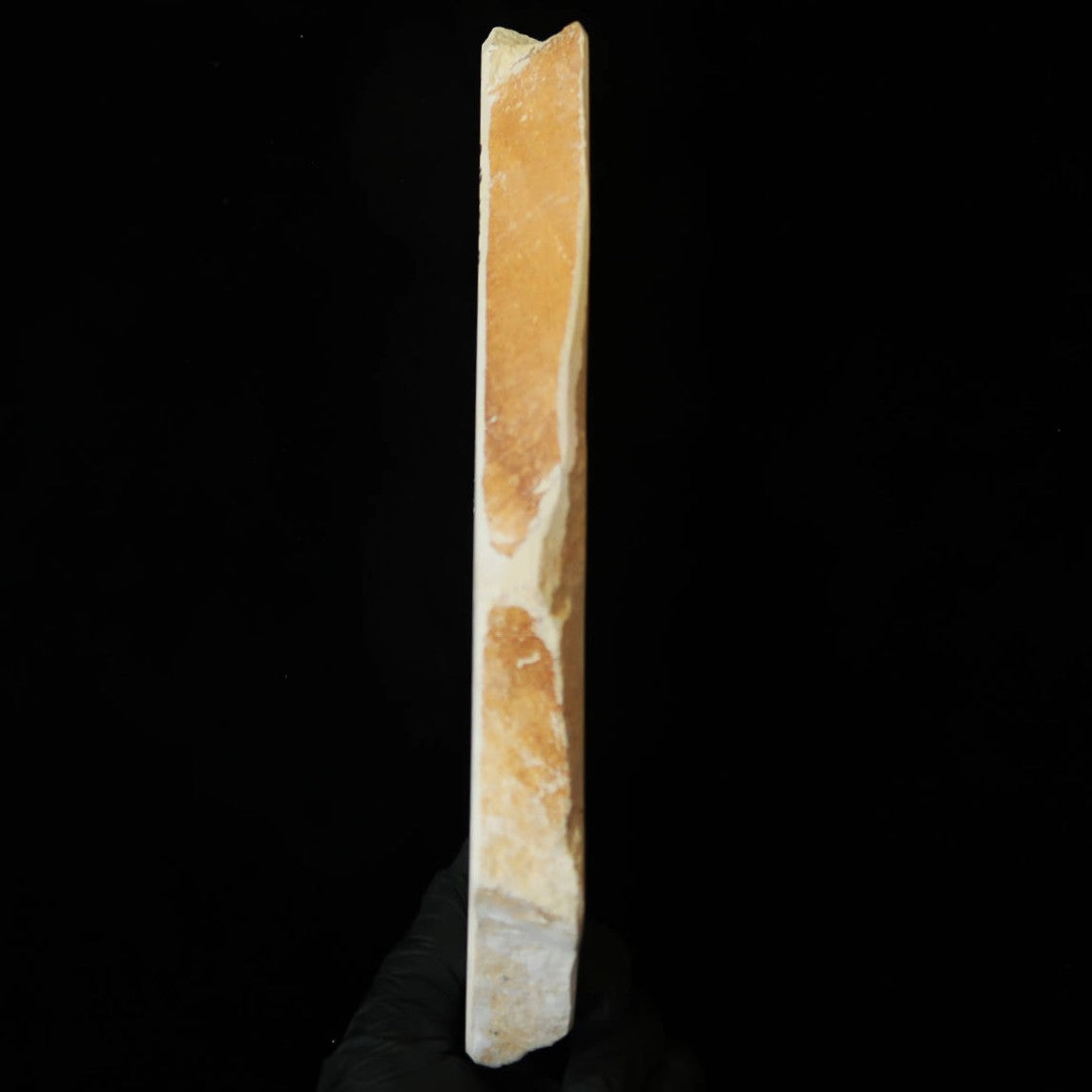 Miotsukushihime Pierre à aiguiser naturelle Iyo-meito M44 “Shayō” 113 × 234 × 22 mm