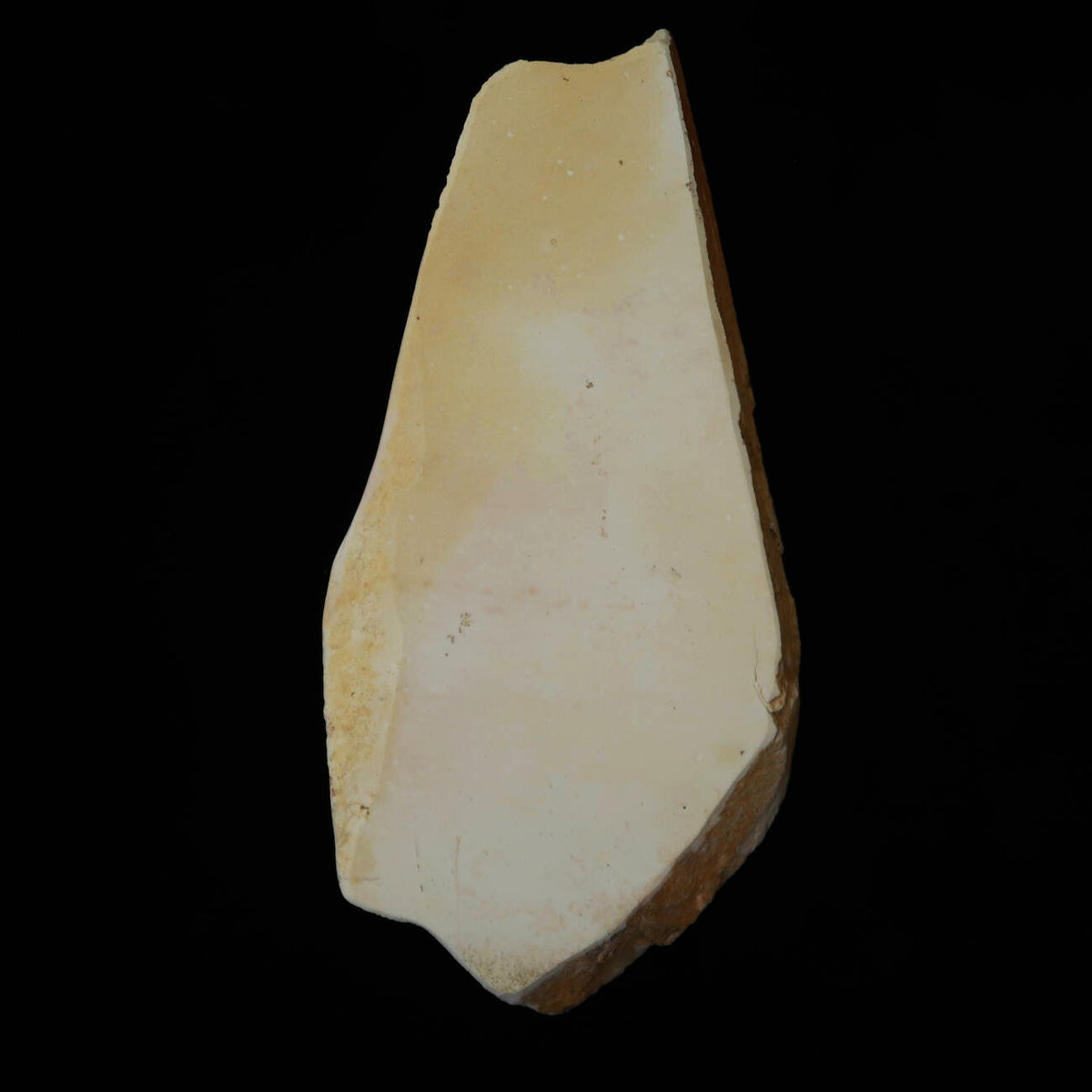 Miotsukushihime Pierre à aiguiser naturelle Iyo-meito M44 “Shayō” 113 × 234 × 22 mm