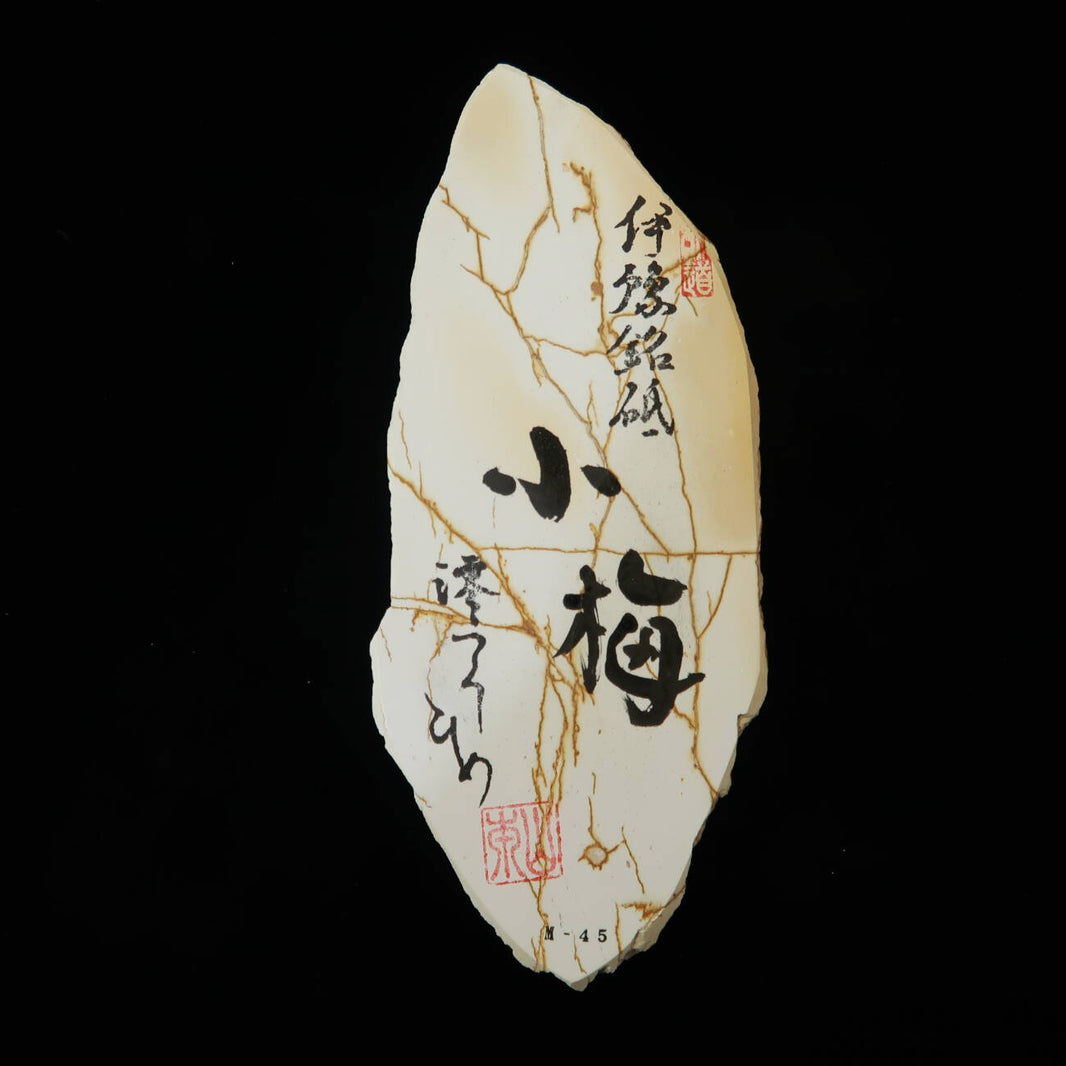 Miotsukushihime pedra natural Iyo Meito M45 Koume 94 × 222 × 30 mm