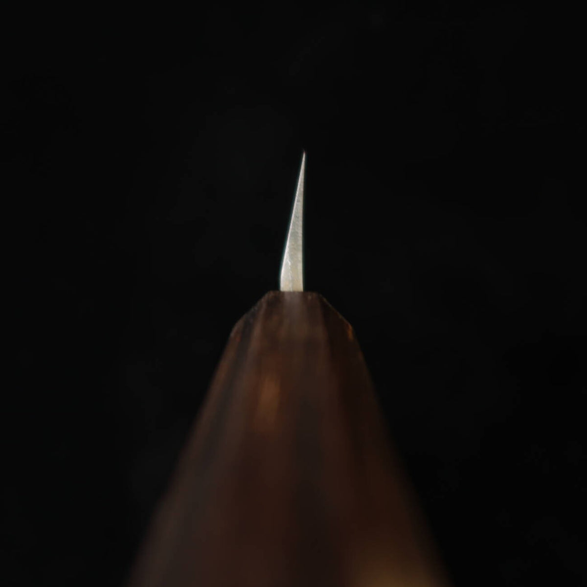 Shirasagi, gyuto de un solo bisel, acero Aogami #2, acabado negro forjado, martillado, mango integral de ébano (210 mm)