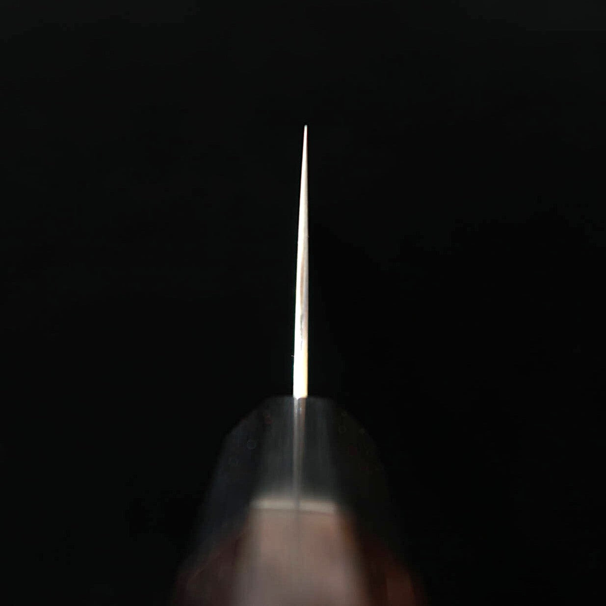TAKAYUKI SHIBATA KOUTETSU Cromax Gyuto with Octagonal Rosewood Handle (210mm)