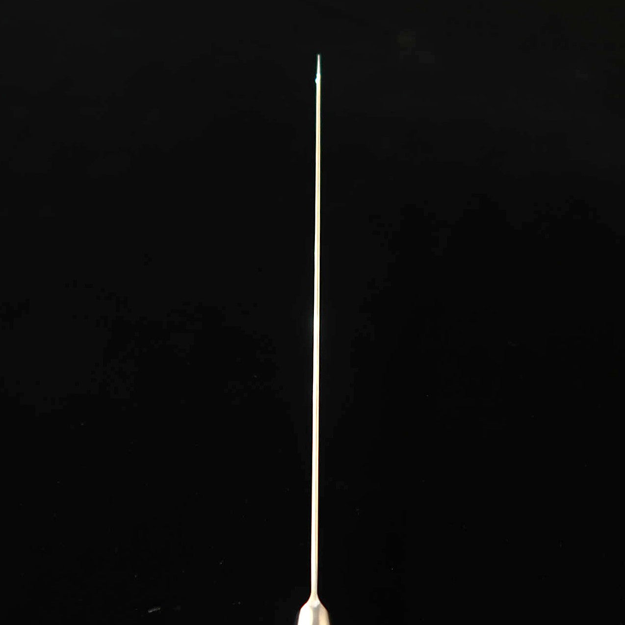 堺孝行 SAKAI TAKAYUKI　剣型柳刃 コアレス マイカルタハンドル（260ｍｍ）