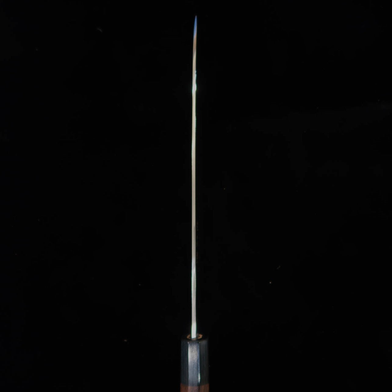 Takeshi Saji Aogami No. 2 Colored Damascus Gyuto Rosewood Handle (210/240/270mm)
