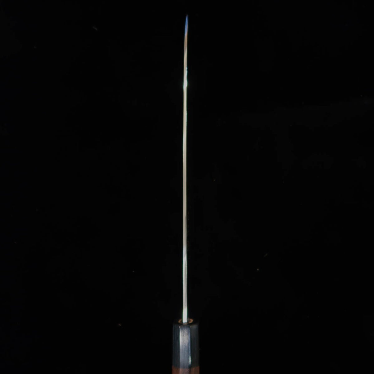SAJI TAKESHI Aogami 2 Damas coloré Gyuto manche octogonal en bois de violette (210/240/270mm)