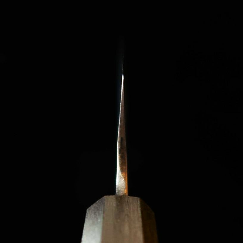 Ikenami Hamono gyuto, aço Shirogami #1 com revestimento inox, cabo de carvalho (210–270 mm)