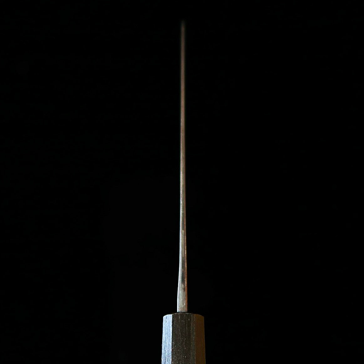 IKENAMI HAMONO, Shirogami #1, inox laminé, manche en chêne, couteau sashimi double biseau (210 mm)
