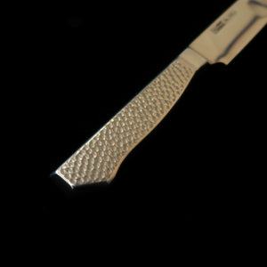 GLESTAIN Glestain tipo M cuchillo para proteínas 021TM (210 mm)