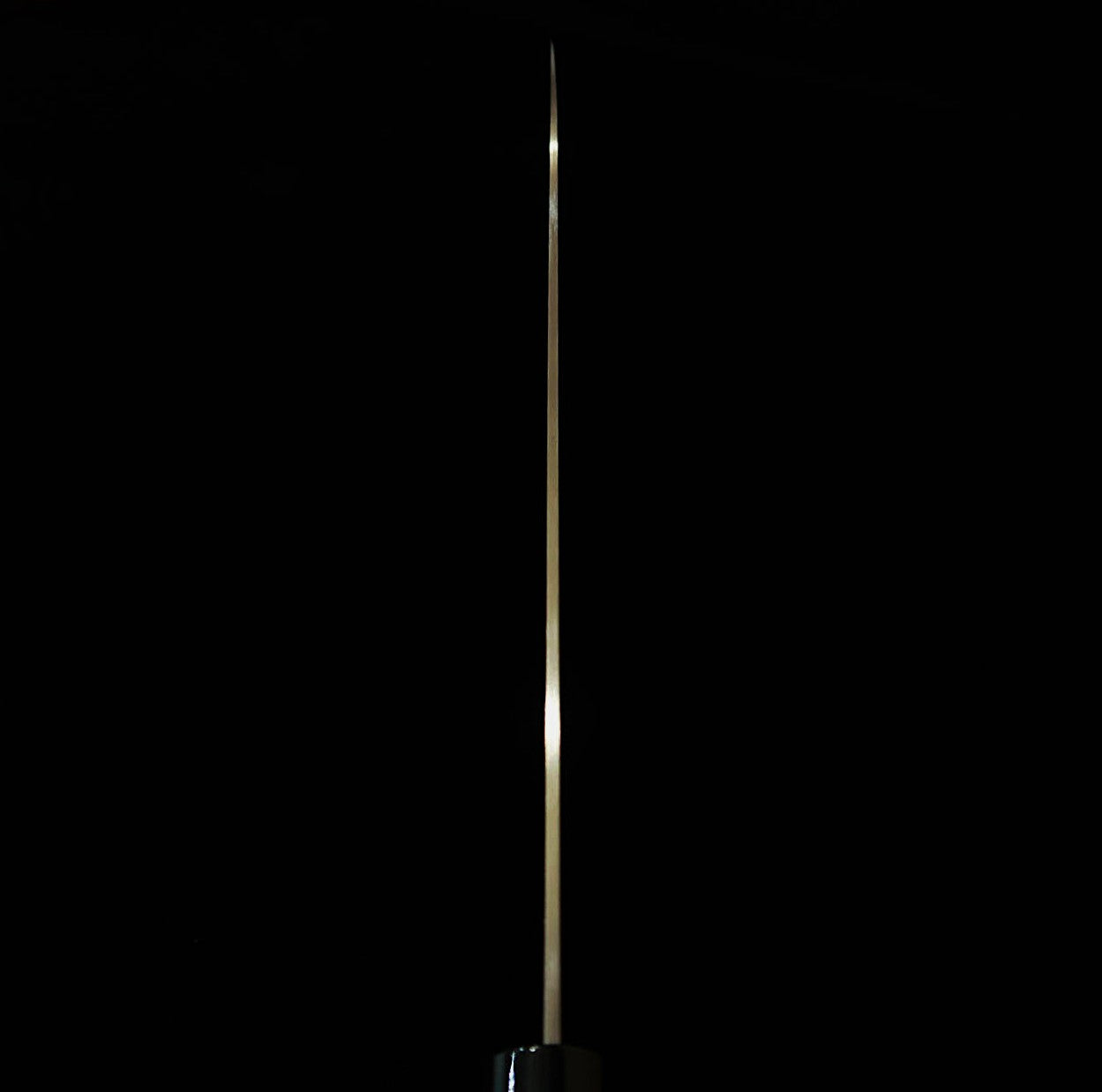 SMIKAMA KASUMI Couteau de chef (Gyuto) TORA - Acier au molybdène, manche en contreplaqué noir (200 mm)