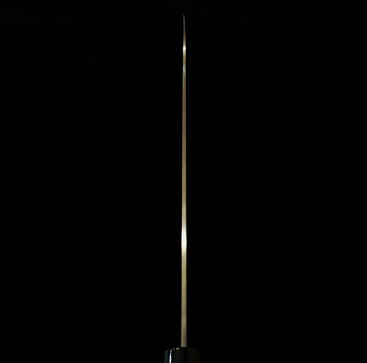 Gyuto SUMIKAMA Kasumi TORA Molybdenum Steel, Black Plywood Handle (200mm)