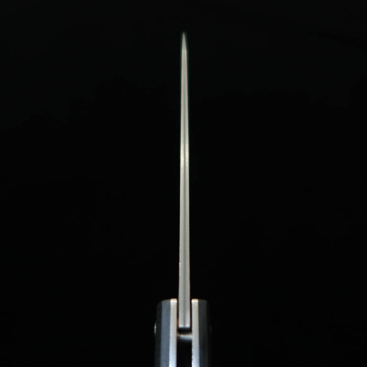 Saji Takeshi couteau petty pliant SG2 Damas noirci (150 mm)
