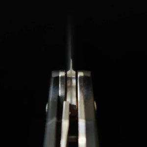 Saji Takeshi couteau petty pliant SG2 Damas noirci (150 mm)