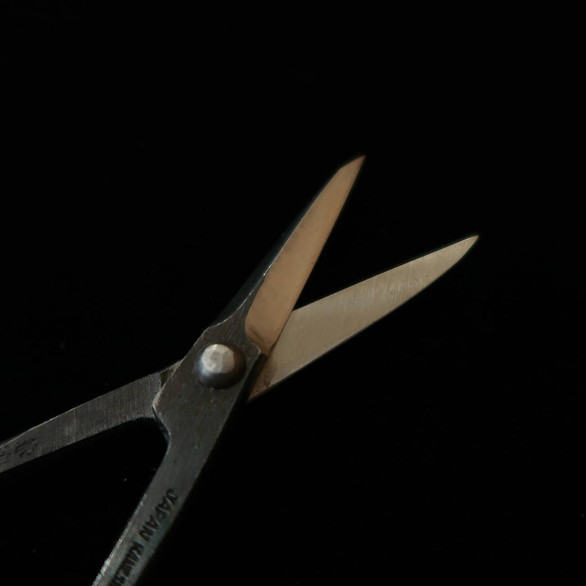 KANESHIN – Ciseaux à bourgeons pour bonsaï, finition kuro-uchi (170 mm) n°33A