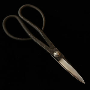 KANESHIN Kaneshin – Ciseaux à satsuki pour bonsaï, Shirogami, finition brute de forge (petit) No34