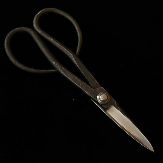 KANESHIN Kaneshin Tesoura para azaleia de bonsai Shirogami acabamento preto (pequena) No.34