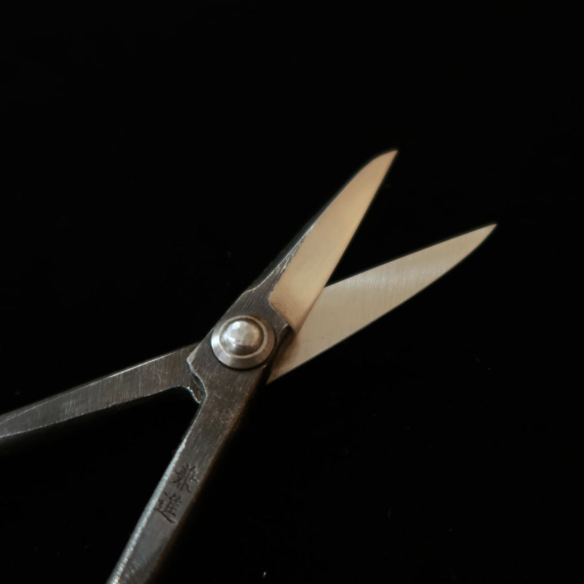 KANESHIN Kaneshin – Ciseaux à satsuki pour bonsaï, Shirogami, finition brute de forge (petit) No34