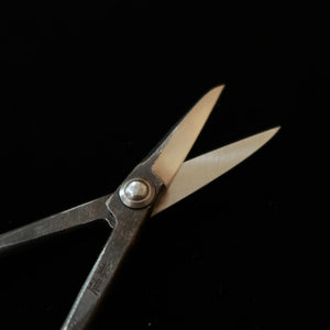 KANESHIN Kaneshin – Ciseaux à satsuki pour bonsaï, Shirogami, finition brute de forge (petit) No34
