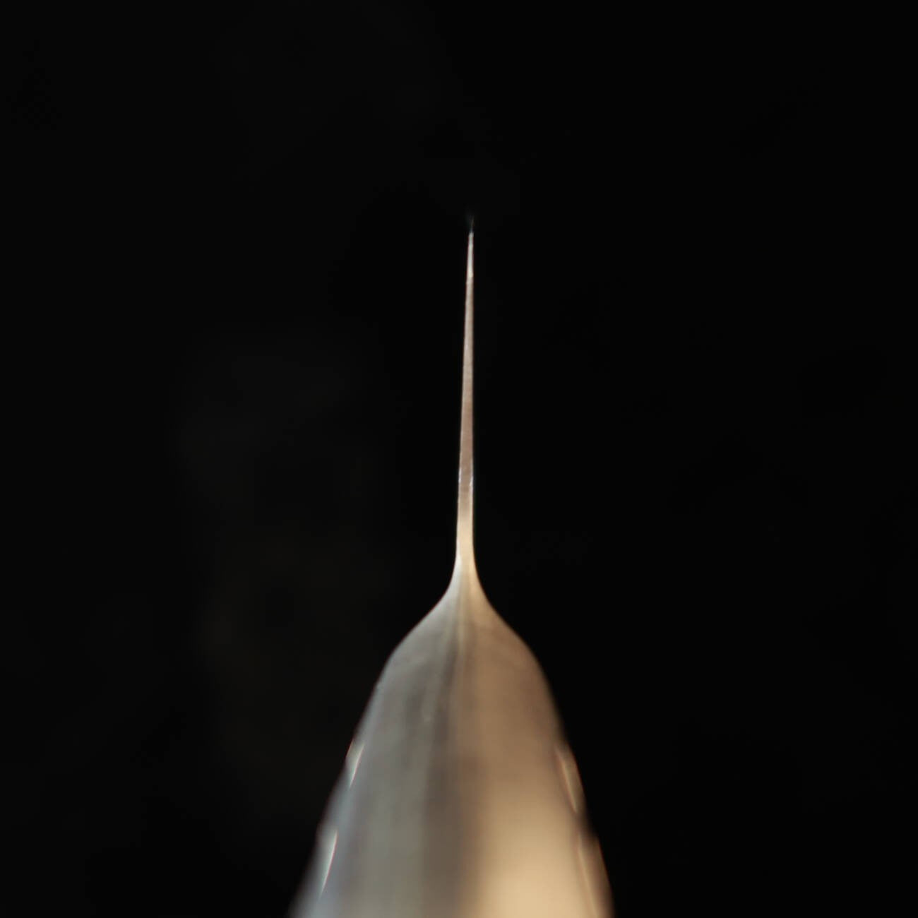 Sakai Ichiji Gyuto (Couteau de chef), Entièrement en acier inoxydable, Réf. #16040 à #16070 (180 à 270 mm)