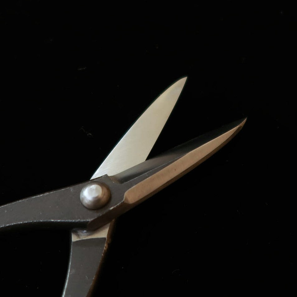 兼進 KANESHIN 盆栽用 芽摘鋏 左利き用 黒打 （190mm）No602C