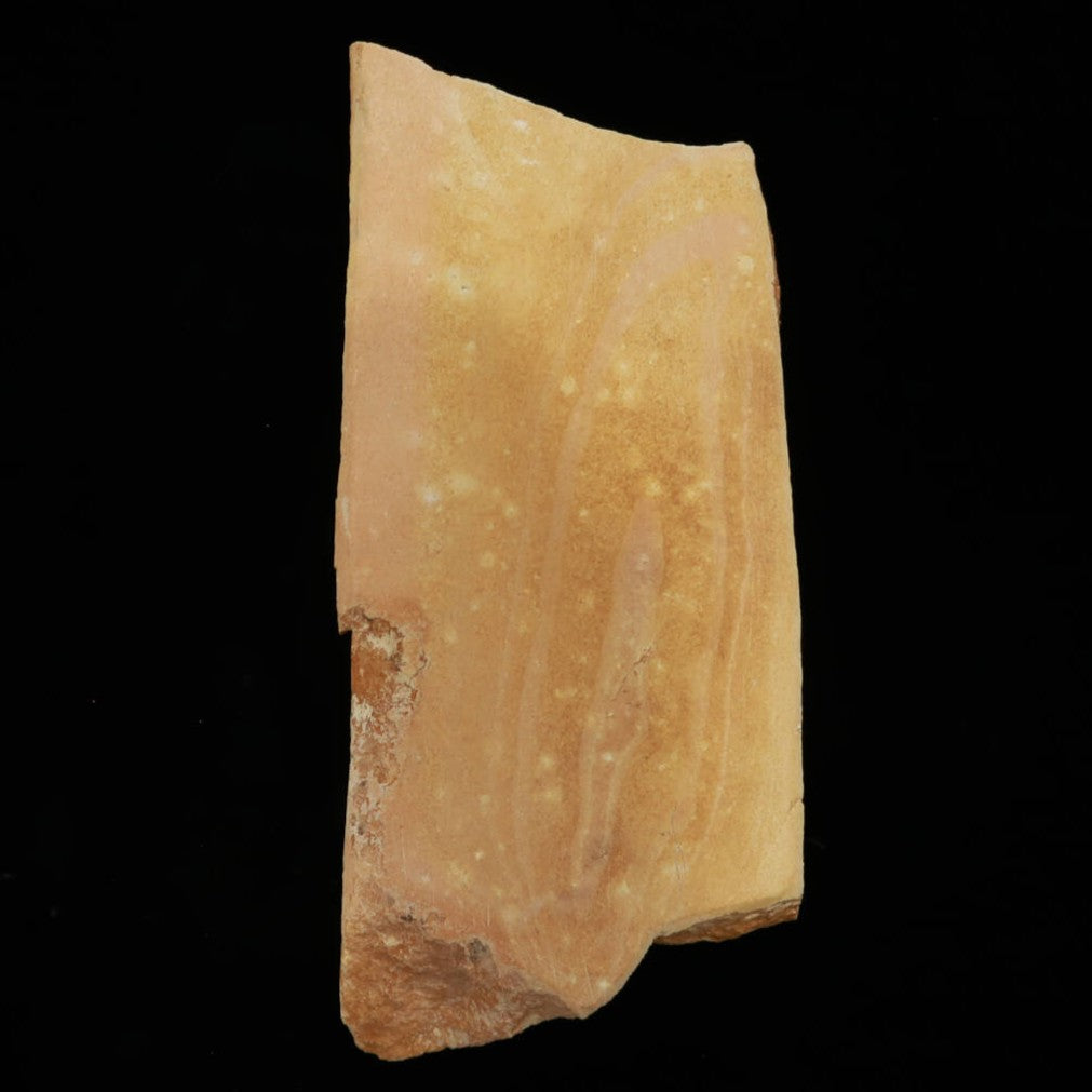 澪つくしひめ 天然砥石 伊豫銘砥 NM14　龍神　98×227×28mm