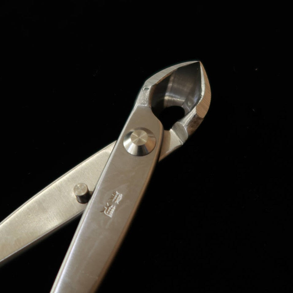 KANESHIN Bonsai Knob Cutter Stainless Steel (Small / Large - No.803 / No.804)