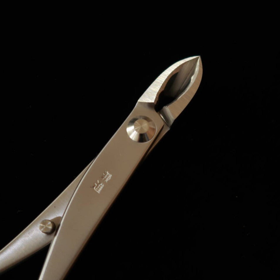 KANESHIN Bonsai Narrow Headed Branch Cutter Stainless Steel (No.806)  