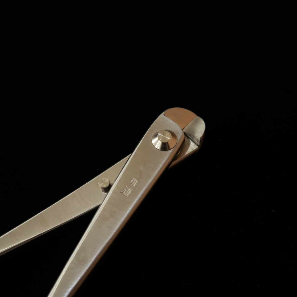 Kaneshin KANESHIN Ciseaux coupe-fil pour bonsaï inox (petit) No814