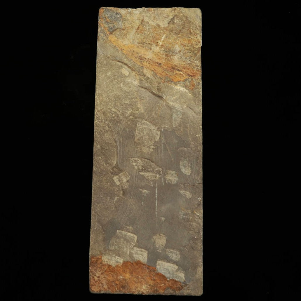 Natural whetstone Yaginoshima 30 type -4 76 x 205 x 36 mm