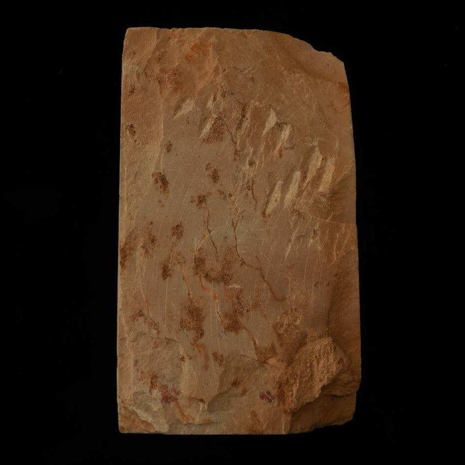 Pedra de Amolar Natural Yamajiyama Tipo Couro Suita B 75×132×26mm