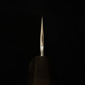 KAGEKIYO Aogami No. 1 Japanese Gyuto, Stain Clad Damascus, Flatfish Gradient Handle (210/240mm)