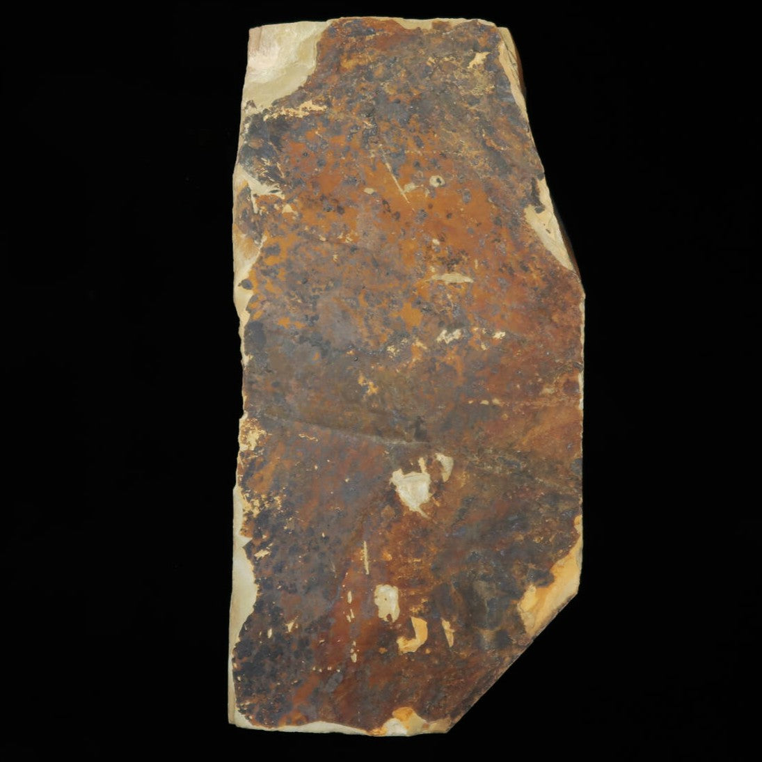 Pierre à aiguiser naturelle Nakayama Awasedo Koppa 80×163×31 mm