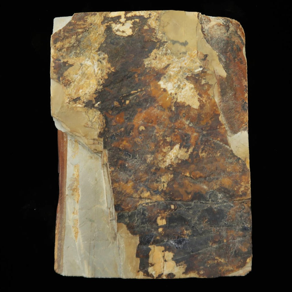 Pierre à aiguiser naturelle Nakayama Awasedo Koppa 94×125×39 mm