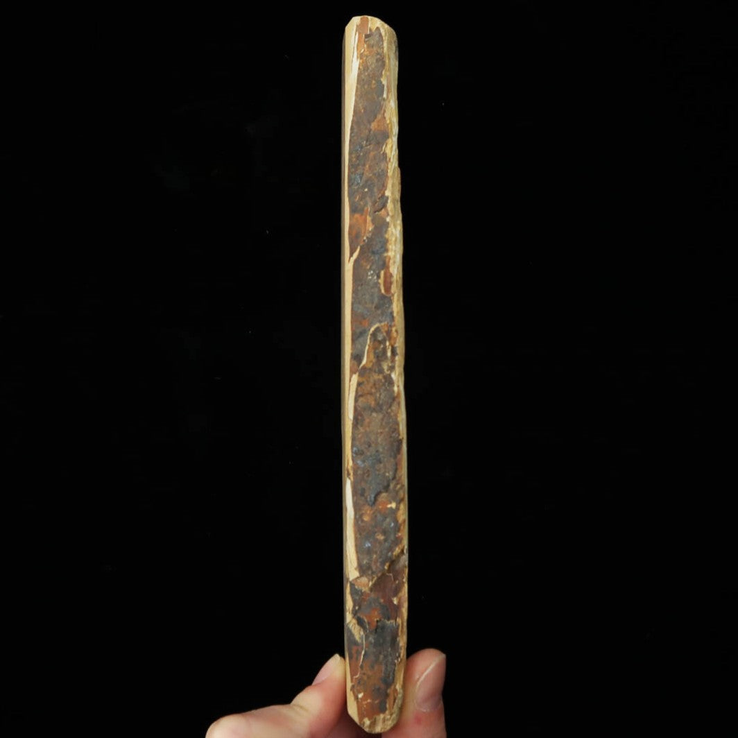 天然砥石　中山　畑中時代　コッパ　手切り（58×207×15mm）