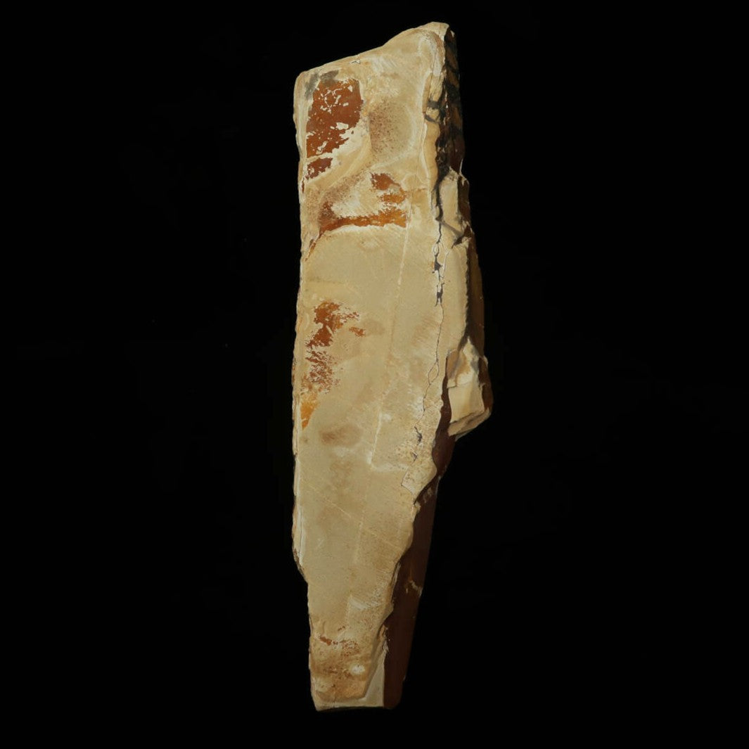 天然砥石　中山　畑中時代　コッパ　手切り（58×207×15mm）