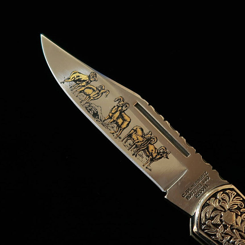 Golden Gordon Folding Knife