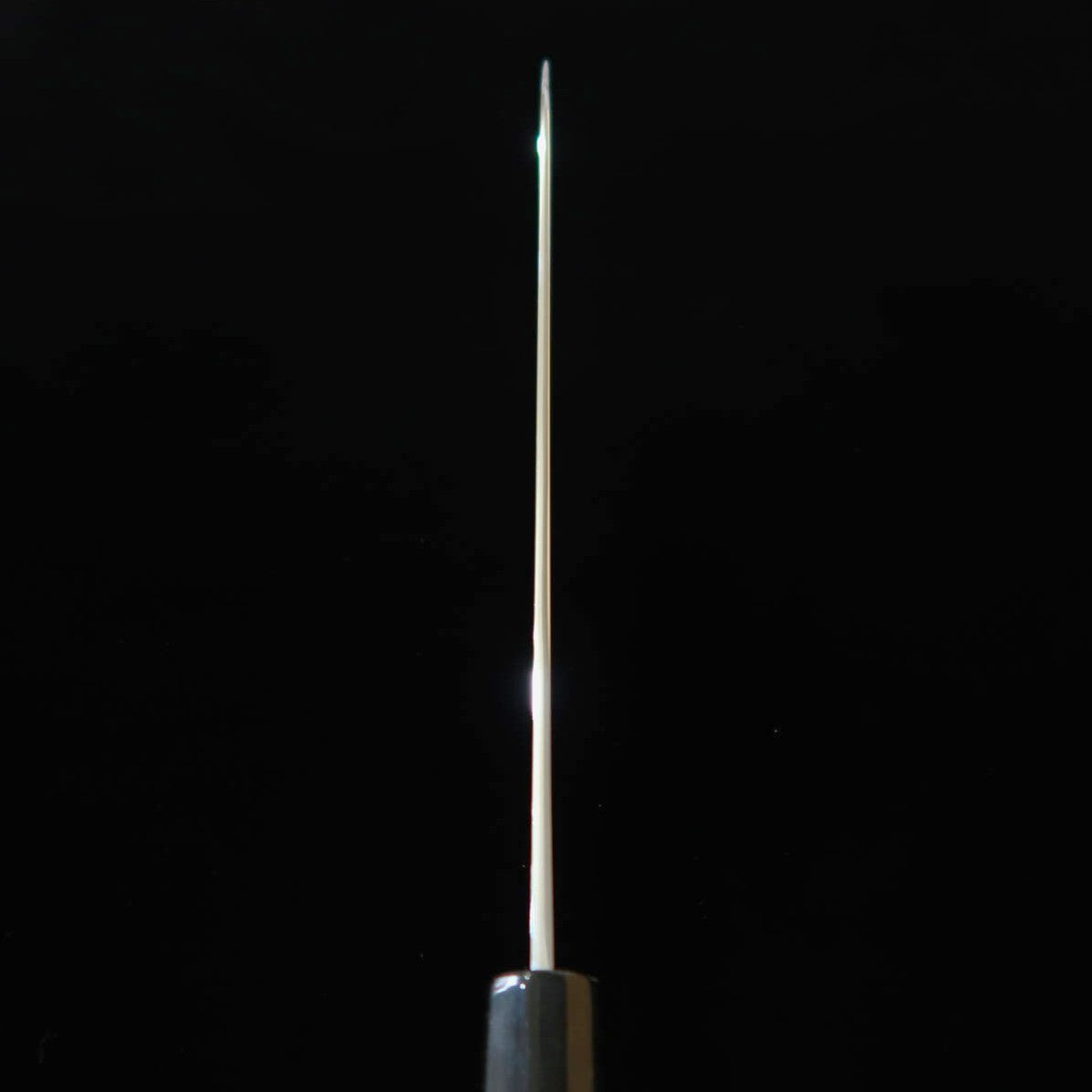 SAKAI KIKUMORI Kikuzuki Gin Gyuto, Ginsan, Polished Finish with Octagonal Magnolia Handle (240mm)
