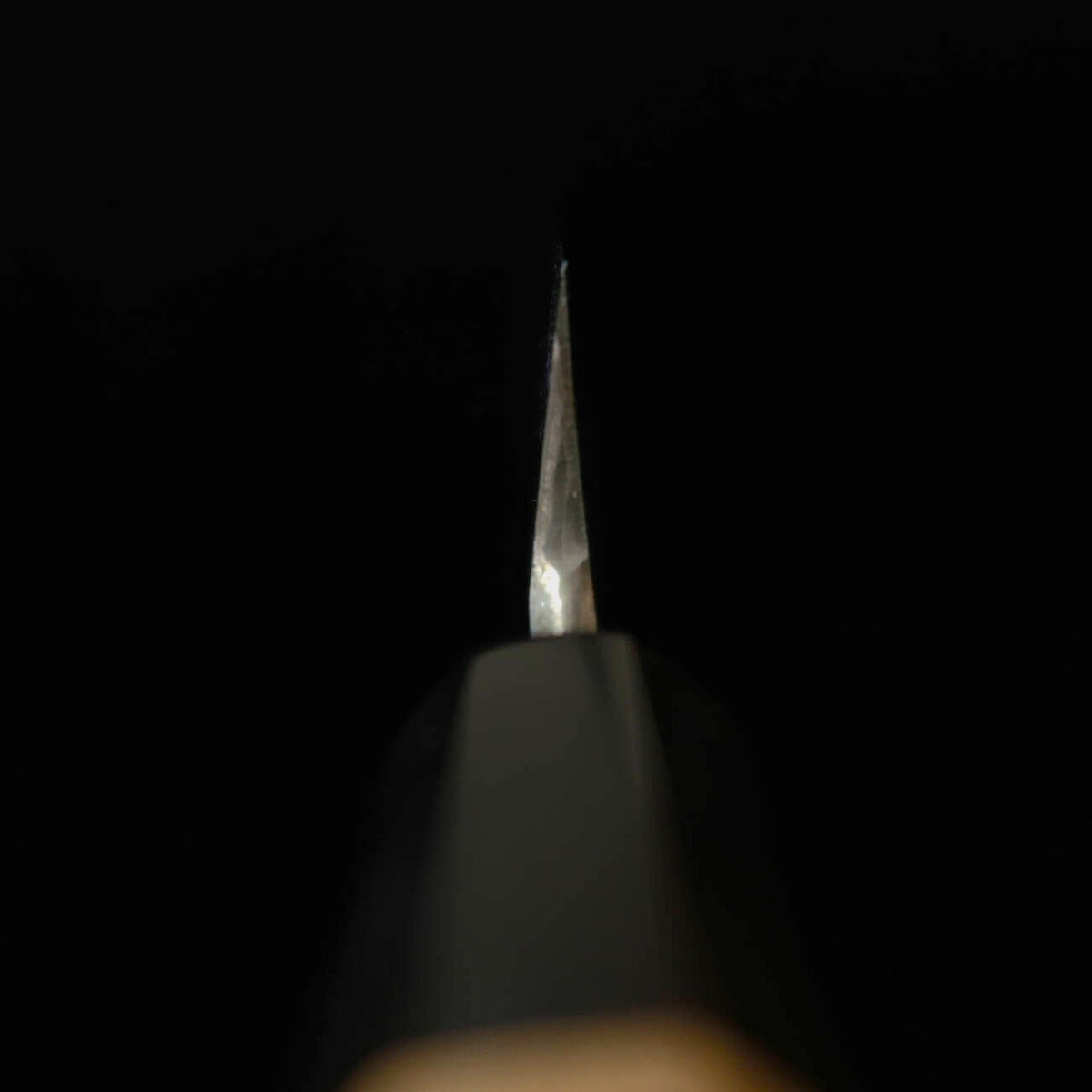 Mizuno Tanrenjo yanagiba Aogami #2 kasumi cabo octogonal de magnólia (270/300 mm)