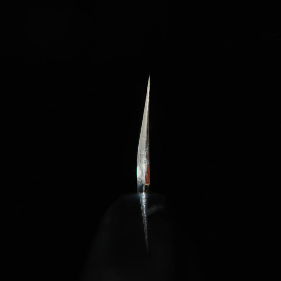 TADOKORO HAMONO, Makoto Saku, finition miroir, acier Shirogami n°2, Usuba à lame fine, manche octogonal en magnolia (195 mm)